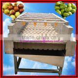 Automatic Brush Date Cleaning Machine|Ginger Washer and Cleaner Machine thumbnail-1