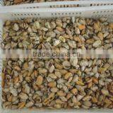 Canned Smoked Mussels thumbnail-6