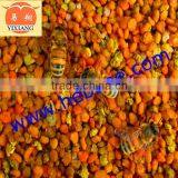 Highest Quality Bee Pollen thumbnail-1