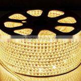 CE SAA Approved High Voltage Led Strip Light 110V 230V Led Strip thumbnail-1