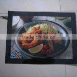 EL Panel Electroluminescent