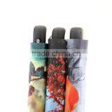 Black Handle Auto Open Digital Print Umbrella thumbnail-5