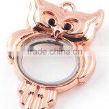 Owl Floating Charm Locket With Rhinestone thumbnail-5