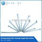 Polished Common Nail (Factory) thumbnail-1