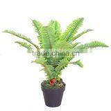 Decorative Artificial Boston Bonsai Plant and Trees thumbnail-2