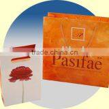 2013 New Gift Paper Bag thumbnail-1