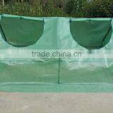 Economical Plastic Film Agricultural Green House Greenhouses thumbnail-6