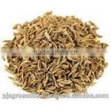 Cumin 99% Pure thumbnail-6