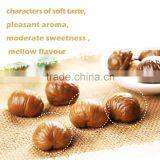 Organic Fresh Castanea Mollissima thumbnail-1