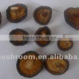 Best-selling Smooth Shiitake Mushroom thumbnail-1
