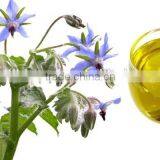 Organic Borage Oil (Omega 6 Series)vegetable Oil thumbnail-2