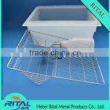 Rodent Laboratory Rat Cages Suppliers