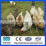 Galvanized/PVC Coated Hexagonal Wire Netting/chicken Wire Mesh thumbnail-6