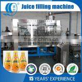 Hot Sales Juice Bottling Manufacturing Line Price