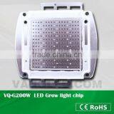 Vanqled High Power LED Chip 500W,Red 660nm 630nm Blue 440nm 470nm,UV 365nm 380nm FR 730nm .etc Colors Are Available thumbnail-2
