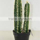 SJ3001107Ornamental Artificial Green Cactus Plants thumbnail-3