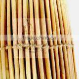 Reed Fence thumbnail-3