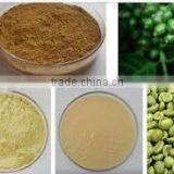 Green Coffee Bean Extract thumbnail-3
