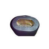 Jorsion Small Engine Parts:AIR FILTER ELEMENT thumbnail-1