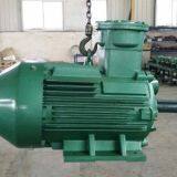YBX3 Explosion-proof Motor-BT4 (factory Explosion-proof)