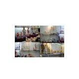 ENOVO (Shanghai) ,China company overview - view 1 thumbnail