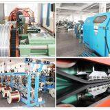 Shanghai Lansheng Special Cable Limited Company company overview - view 1 thumbnail