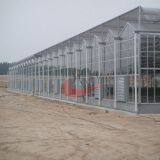 Agricultural Polycarbonate Greenhouse Agricultural Glass Greenhouse thumbnail-3