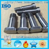 Customize Supply Stainless steel bolt,Carbon steel bolt,High tensile steel bolt,Mid-steel bolt,T head bolt,Hex head bolt,Round head bolt,Square head bolt,Special head bolt,Zinc galvanized bolt,Black oxide bolt.