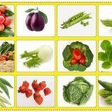 Fruit And Vegetable Washing Machine Operation Manufacturing Process