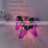 Hot Sale Unique Harvest Decoration Plastic Grape Shape String Light