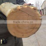 Runshine Since 1989 DWC40 Wood Chipper Shredder Mulcher Quality Choice thumbnail-5