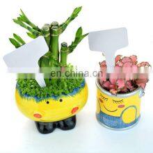 Plastic Waterproof Plant Labels thumbnail-4