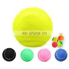 Manufacturer Professional Padel Ball High Elasticity Custom Paddle Racket Balls thumbnail-5