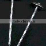 Smooth or Twisted Roofing Nails With Umbrella Head