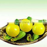Yellow Pearl Planting Squash Seeds