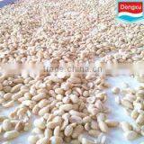 Roasted&blanched Peanut Kernels