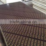 Film Faced Plywood,China Film Faced Plywood Supplier From Linyi Shandong thumbnail-2