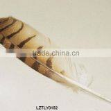 Pheasant Feather Pens LZTLY0152 thumbnail-1