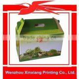 Custom Die Cut Handle Paper Box Packaging