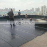 PE Film SBS Modified Bitumen Waterproof Membrane For Building Roofing thumbnail-6