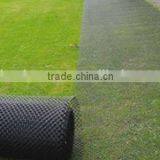 Grass Mesh for Turf and Lawn Reinforcement thumbnail-4
