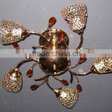 CE Ceiling Lamp Light Fixture for Decoration Indoor