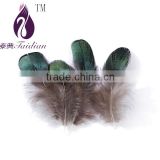 green pheasant chicken feathers for clothing jewelry decoration