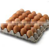 High Speed Paper Egg Tray Making Machine