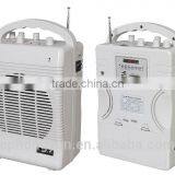 Bluetooth Amplifier, Portable Wireless PA Amplifier, Wireless PA System, Wireless Speaker