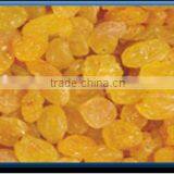 High Quality Golden Yellow Raisin From India thumbnail-4