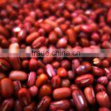 Red Aduki Bean thumbnail-1