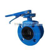 Hot Sale Cast Iron PN10/PN16 Double Flange Industrial Valve thumbnail-2