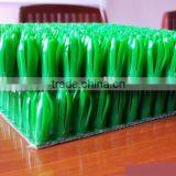 Gold Carpet thumbnail-6