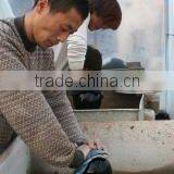 Donghai Tianmai International Trade Co., Ltd. company overview - view 3 thumbnail